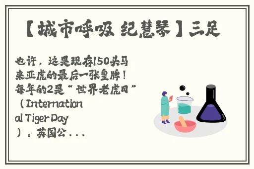 毛耸耸亚洲******X交**